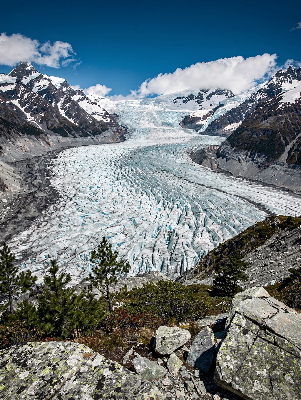 Braided glacial river flowing through a lush valley